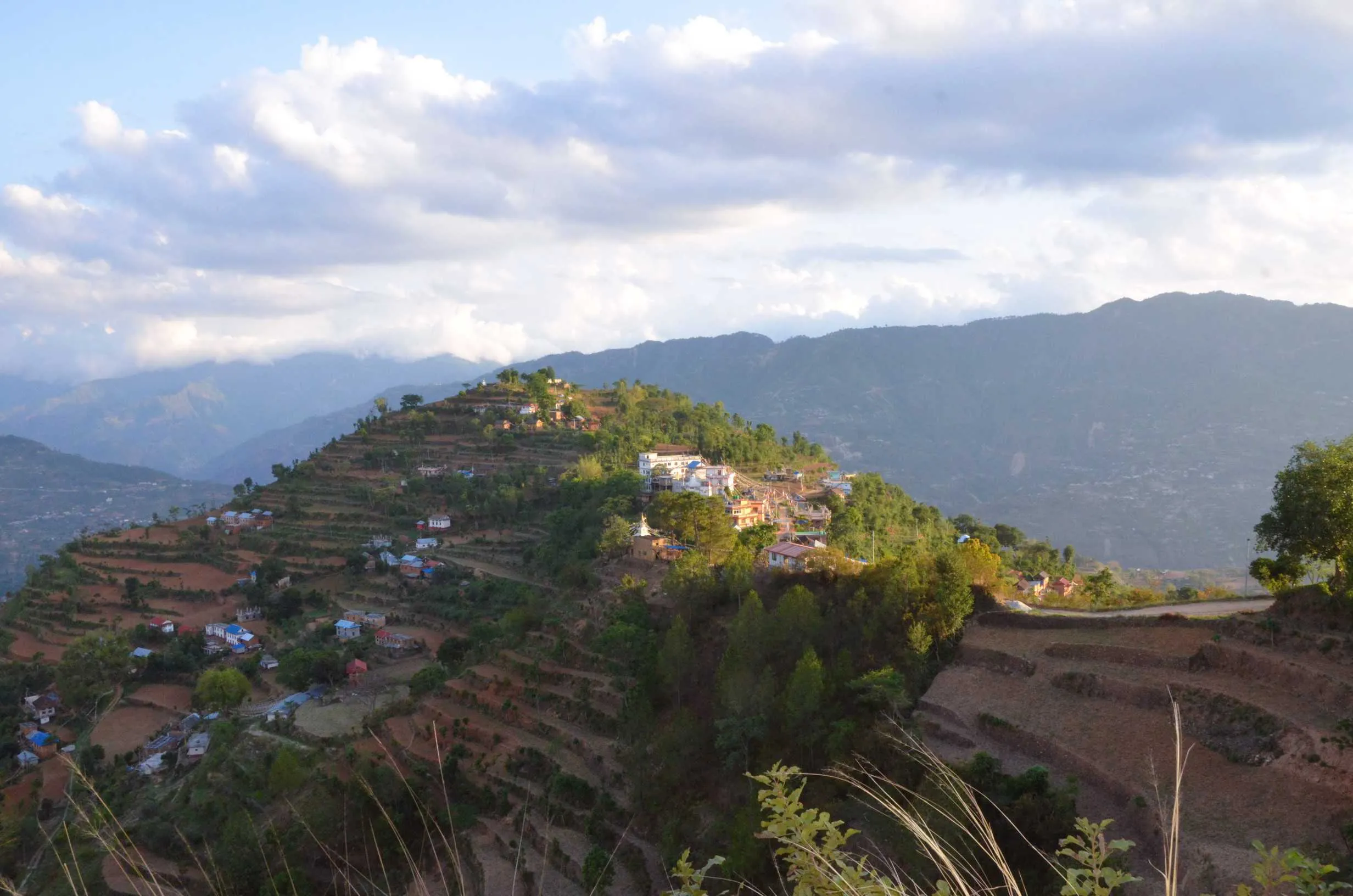 Our Story & Farm Life